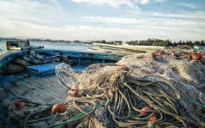 3 Solutions to Common Fishing Net Problems