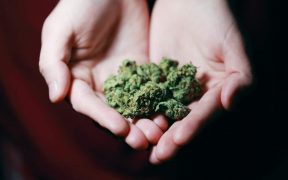 6 Benefits of Medical Marijuana