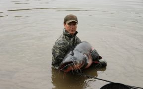 How To Catch Huge Catfish