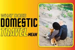 What Does Domestic Travel Mean