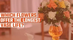 Which Flowers Offer The Longest Vase Life