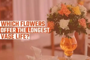 Which Flowers Offer The Longest Vase Life