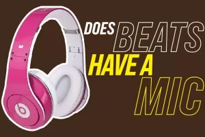 Does Beats Have A Mic