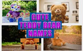 cute teddy bear names