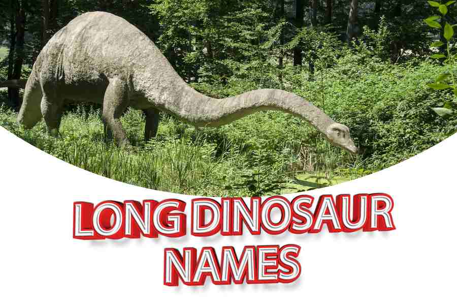 Long Dinosaur Names